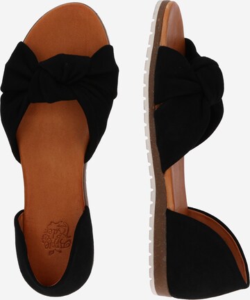 Apple of Eden Sandal 'Chelsea' i svart