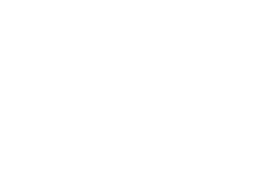 A STAR IS BORN Logo