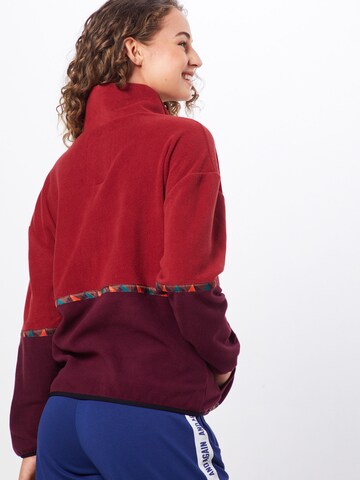 Iriedaily Sweatshirt 'Holina' in Rot: zadná strana