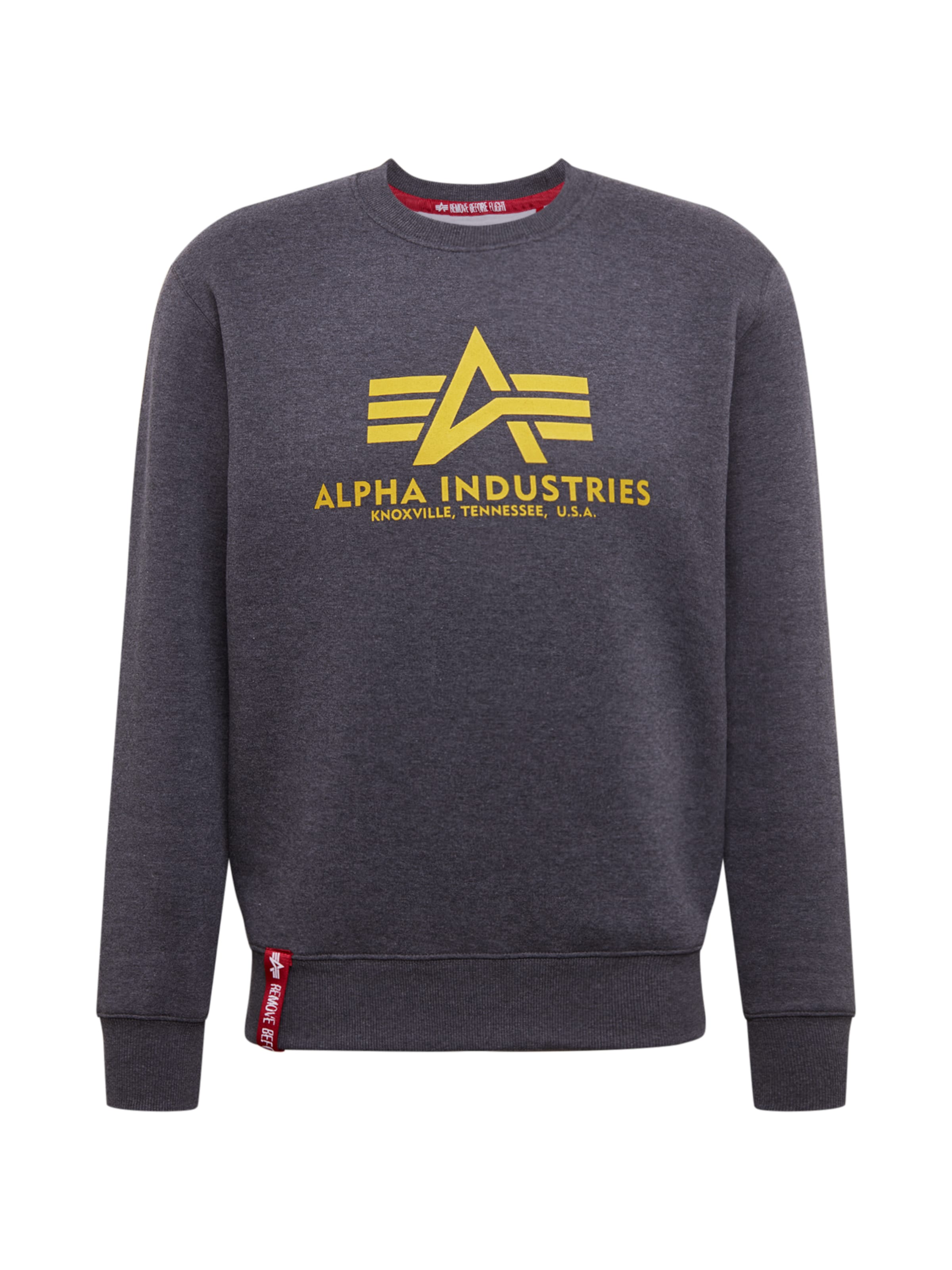 ALPHA INDUSTRIES Sweatshirt in Grau: Vorderseite
