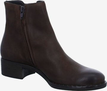 Paul Green Booties in Brown