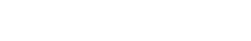 AMI ALY Logo