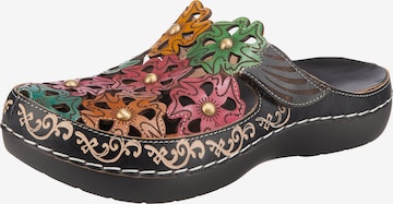 Laura Vita Clogs in Mixed colors: front