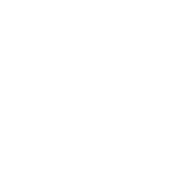 NEW CANADIAN Logo