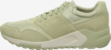 GEOX Lace-Up Shoes in Green