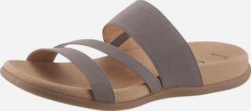 GABOR Mules in Grey: front