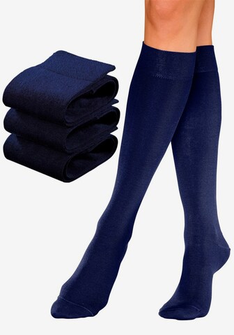 ROGO Knee High Socks in Blue: front