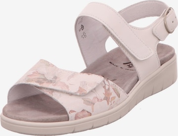 SEMLER Sandals in Pink: front