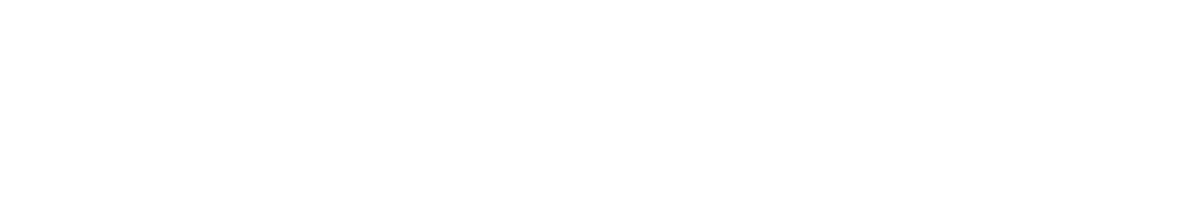 HAFLINGER Logo