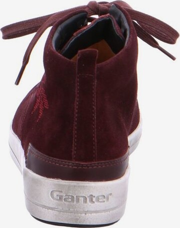 GANT Stiefelette in Rot