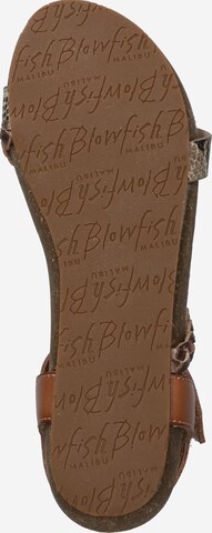 Blowfish Malibu Strap Sandals 'Goya' in Brown