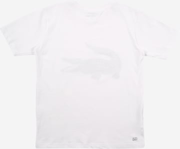 LACOSTE T-Shirt in Weiß