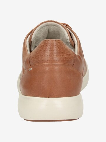 SIOUX Sneakers 'Runol' in Brown