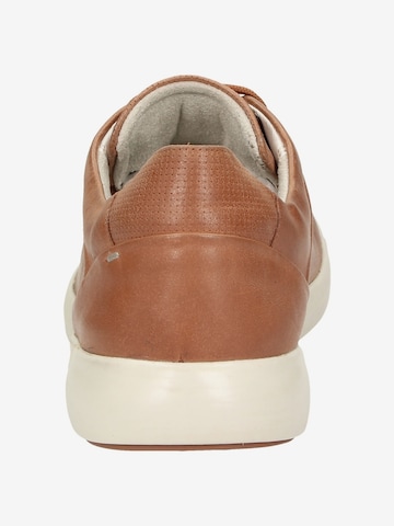 SIOUX Sneakers 'Runol' in Brown