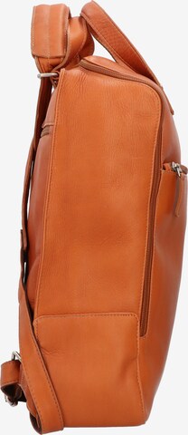 Harold's Backpack 'Campo' in Brown