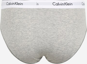 Slip de la Calvin Klein Underwear pe gri: spate