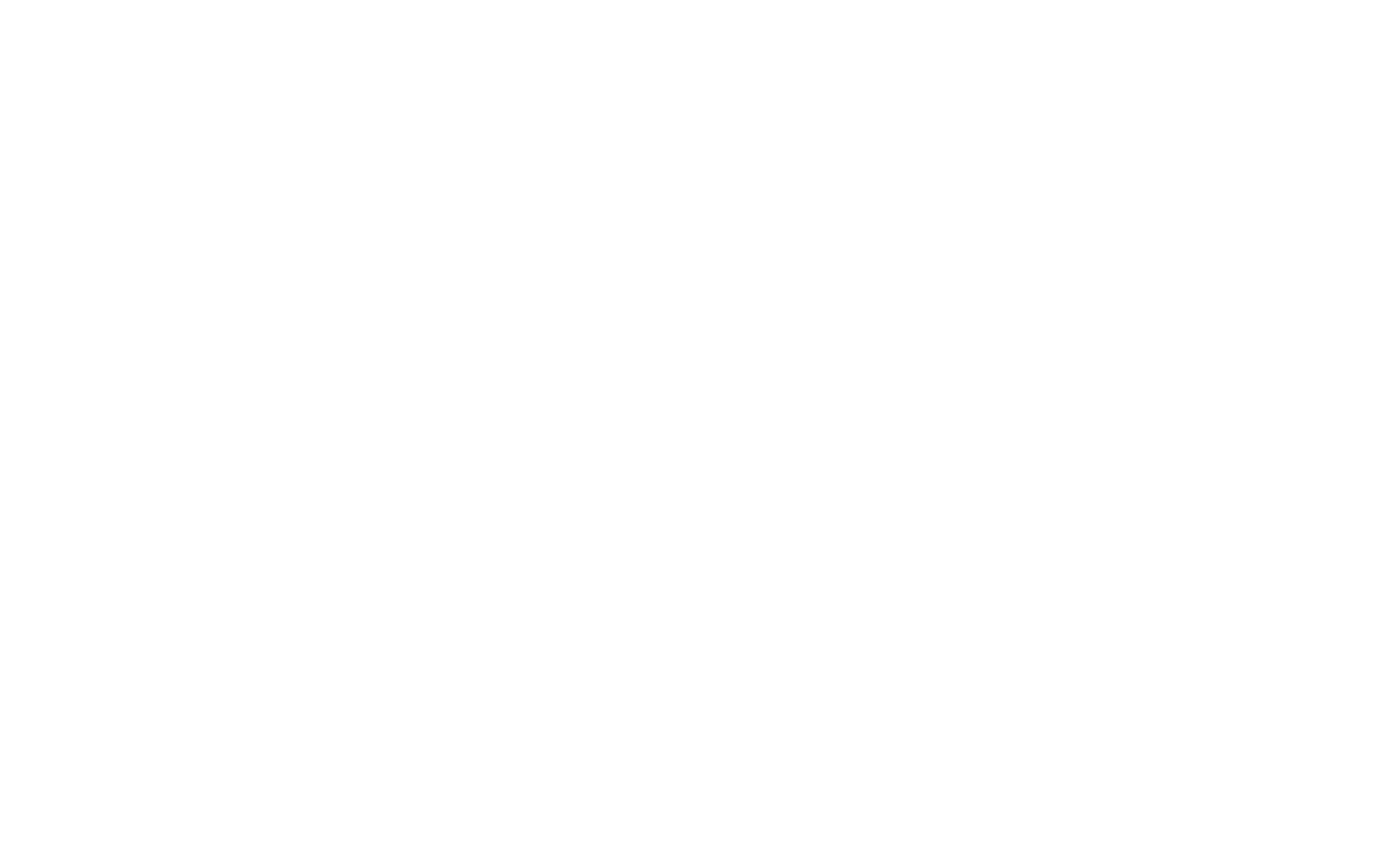 Salomon Logo