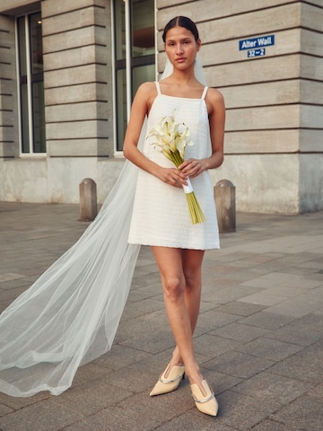 Elegant Structured Dress with Veil