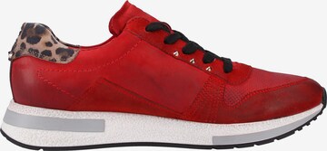 Paul Green Sneakers in Red