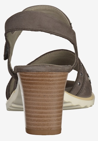 ARA Strap Sandals in Grey