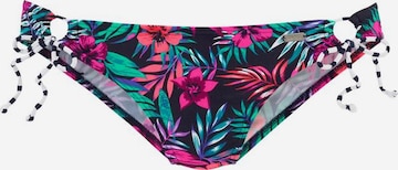 VENICE BEACH Bikini bottom in Mixed colours: front