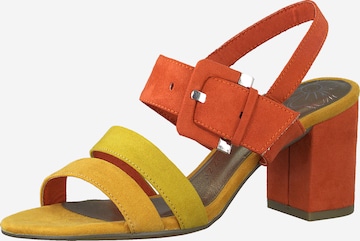 MARCO TOZZI Sandalen met riem in Oranje: voorkant