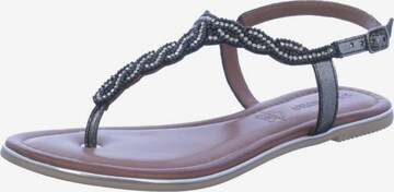 SALAMANDER Sandals in Black: front