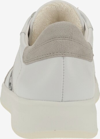 ARA Sneakers in White