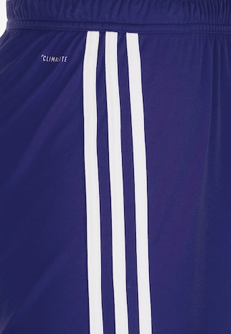 ADIDAS SPORTSWEAR Regular Workout Pants 'Regista 18' in Blue