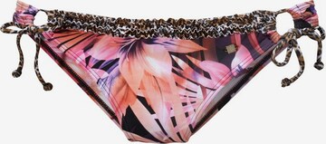 JETTE Triangel Bikini in Mischfarben