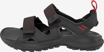 THE NORTH FACE Sandals 'Hedgehog' in Black