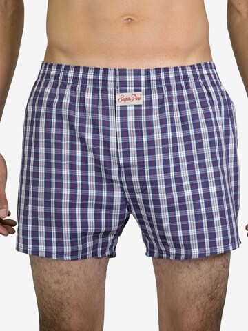 Sugar Pine Boxer shorts 'Classic Check' in Blue: front
