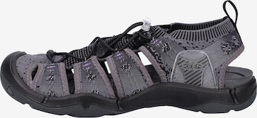 KEEN Sandalen in Grijs