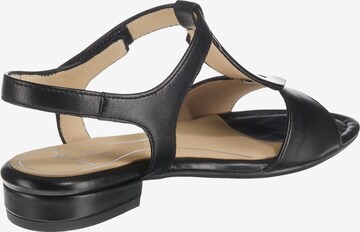 ARA Sandals 'Vegas' in Black