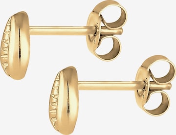 ELLI Earrings 'Muschel' in Gold