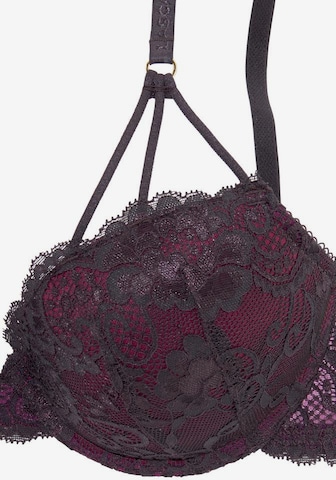 LASCANA Push-up BH in Lila