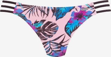 VENICE BEACH Bikini Bottoms in Pink: front