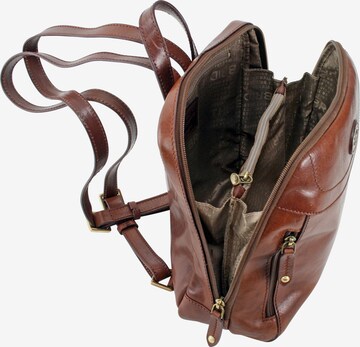 The Bridge Backpack in Brown