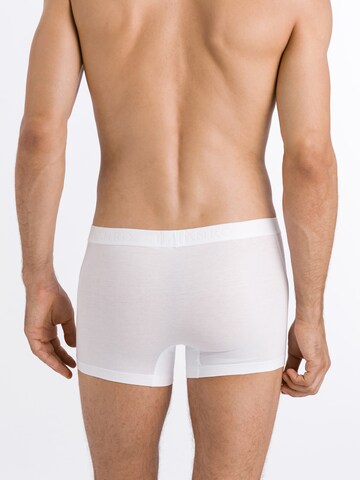 Hanro Boxer shorts ' Cotton Essentials ' in White