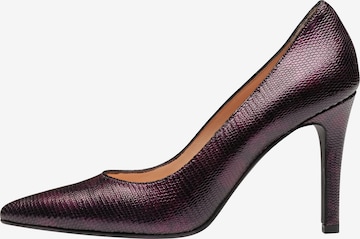 EVITA Pumps in Purple