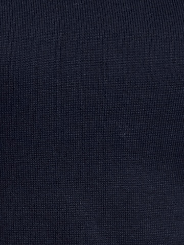 heine Sweater in Blue