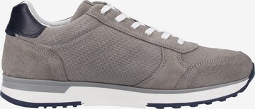 Gaastra Sneaker 'Kai' in Grau