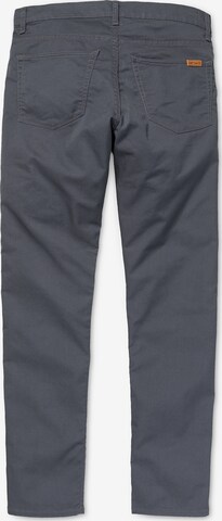 Carhartt WIP Tapered Jeans 'Vicious' in Grau