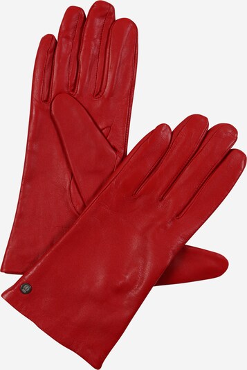 Roeckl Fingerhandschuhe in rot, Produktansicht