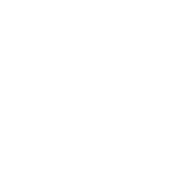 REPLAY & SONS Logo