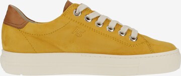 Paul Green Sneaker in Gelb