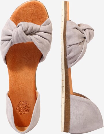 Apple of Eden - Sandalias 'Chelsea' en gris