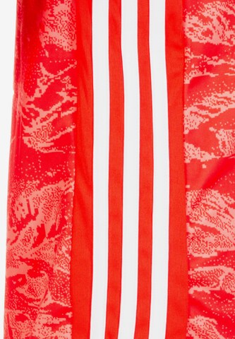 ADIDAS SPORTSWEAR Tricot 'AdiPro 19' in Rood