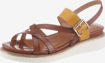 TAMARIS Sandalen met riem 'Eda' in Bruin: voorkant