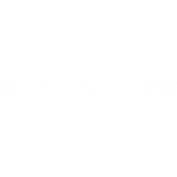 ENDURANCE Logo